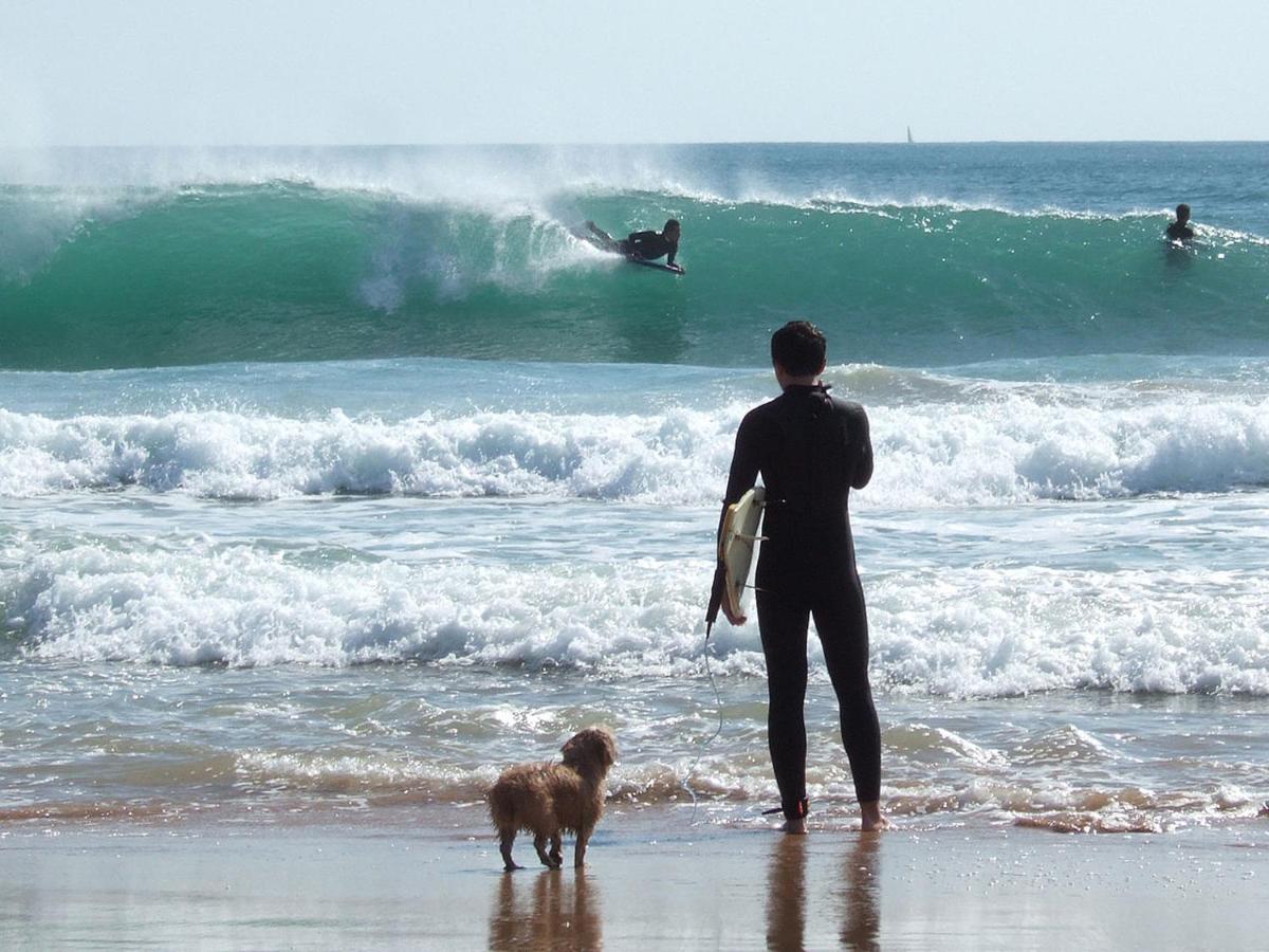 Carcavelos Surf 외부 사진